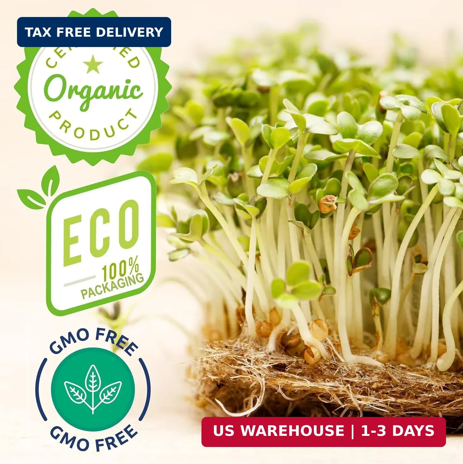 Broccoli Sprouting & Microgreens Seeds x 1 lb. Organic, Non-GMO, Heirloom Sprout