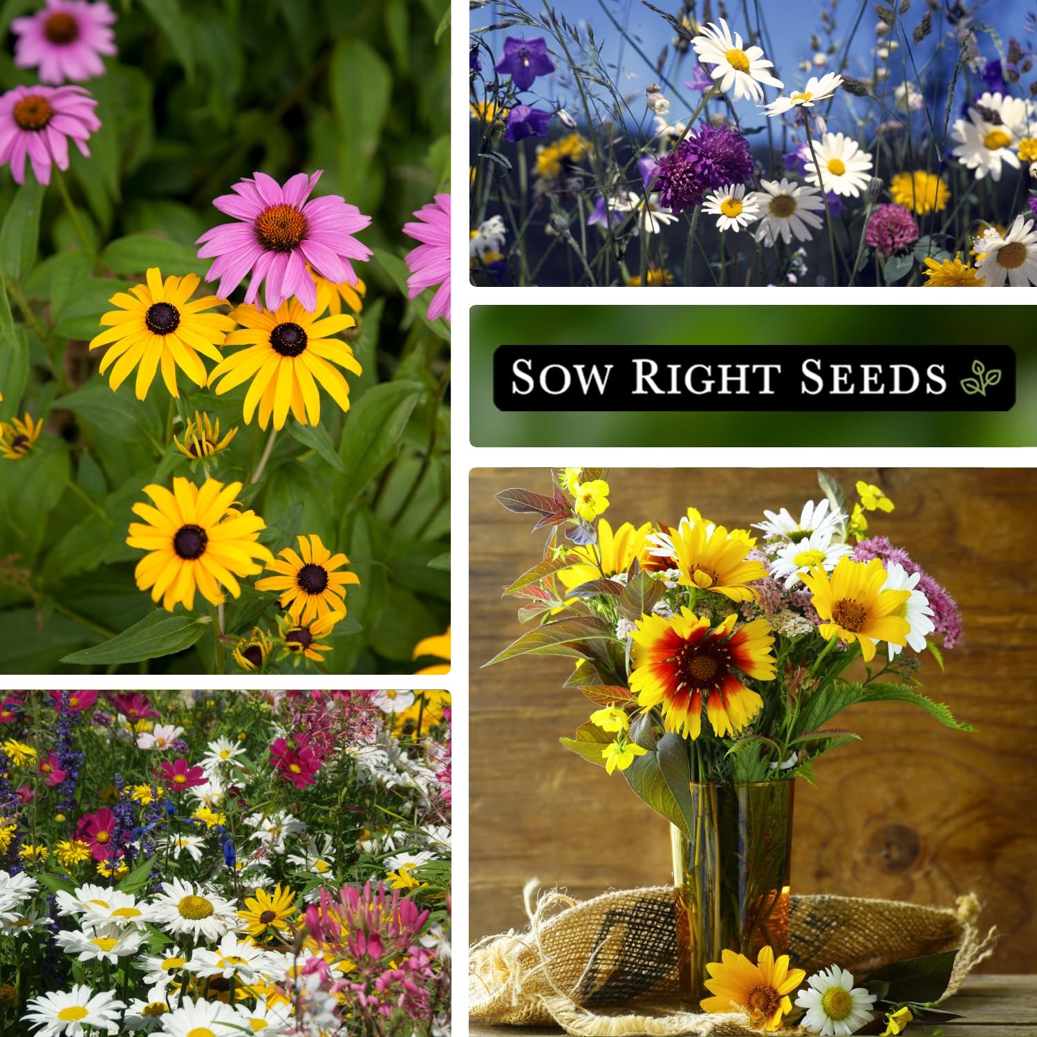 Midwest Wildflowers Seeds Mix, Non-GMO Heirloom Perennial, Annual Varieties