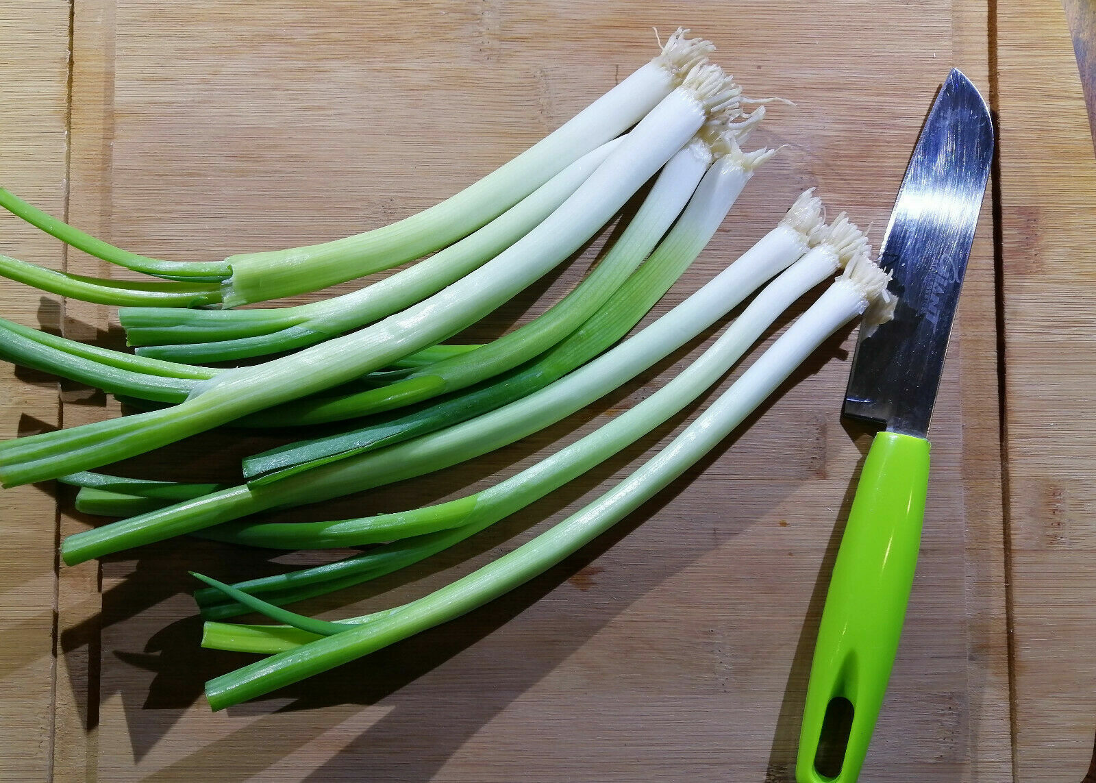 1000 Japanese Evergreen White Stem Green Onion Seeds, Scallion Bunching Allium