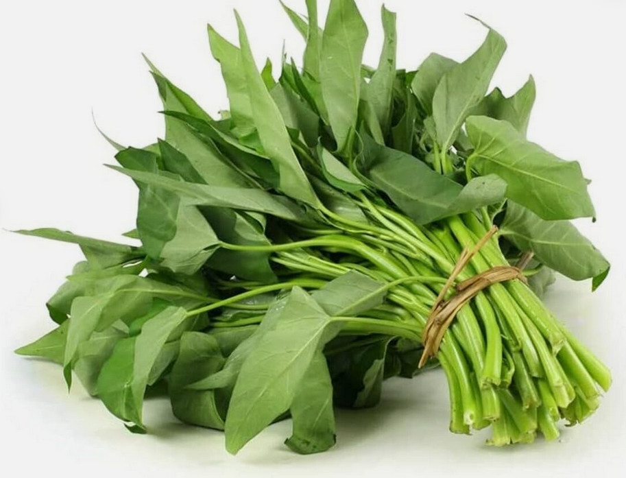 500+ Thai Water Spinach Seed Ong Choy Kangkong Kong Xin Cai Seeds