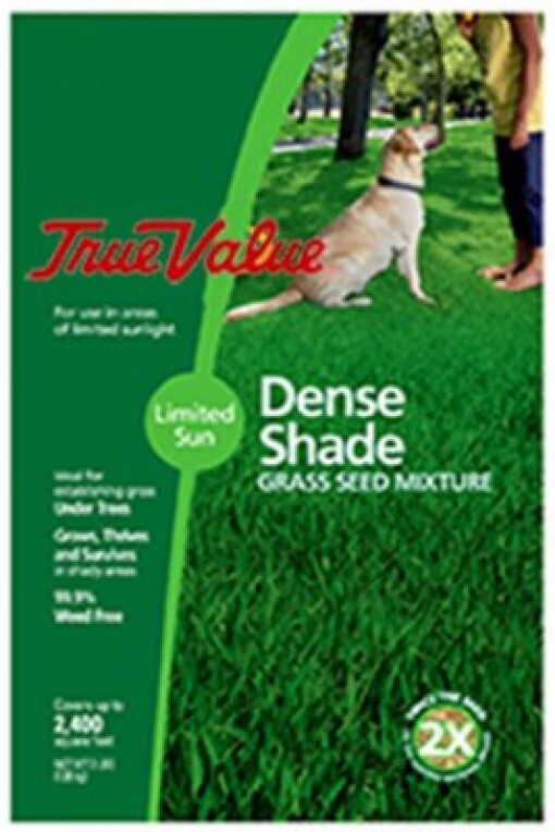 Barenbrug USA TVSHD7 Tv 7 lb Shade Grass Seed