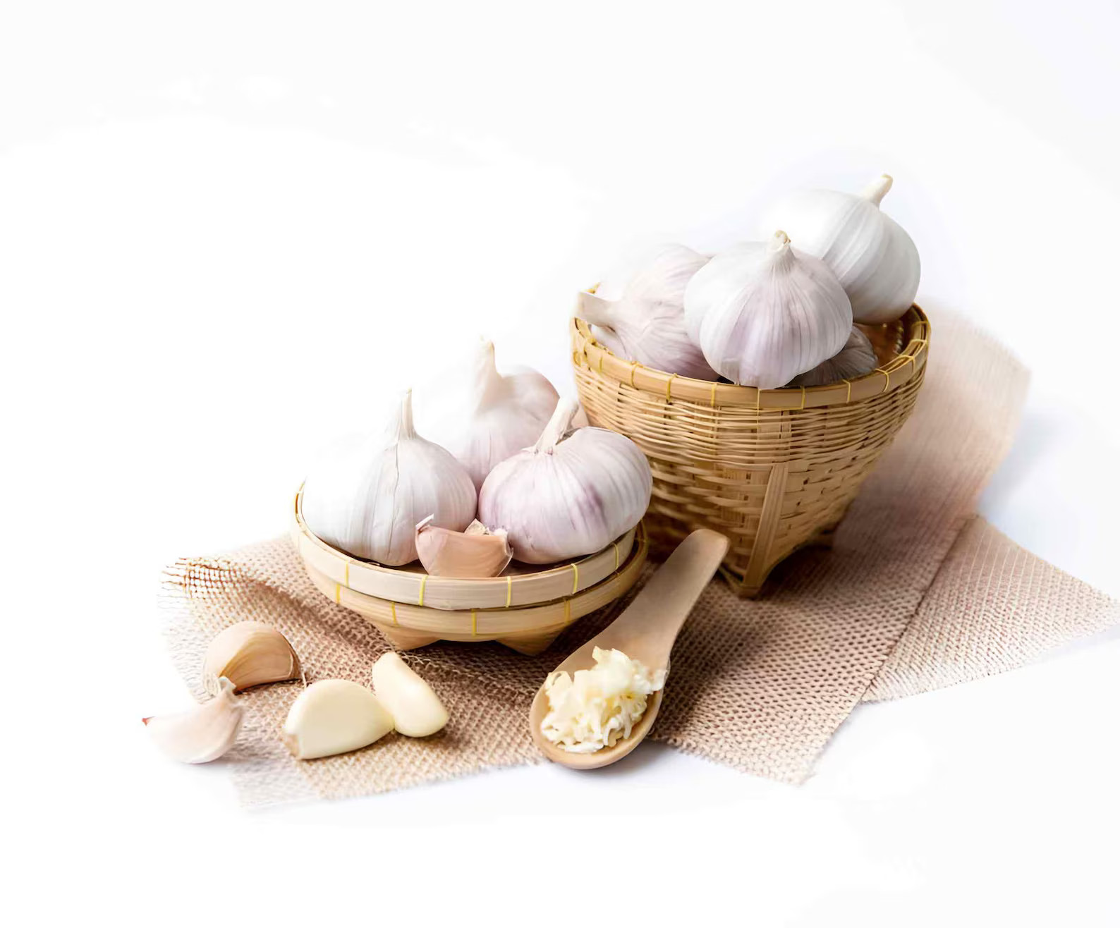California Early Softneck Garlic | Heirloom Non-GMO Seed for Planting & Eating