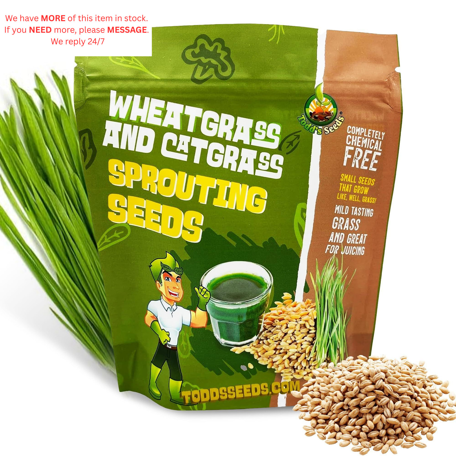Todd’s Seeds Wheatgrass Seeds; Hard Red Winter Wheat, Non-GMO, 1/4 Pound,