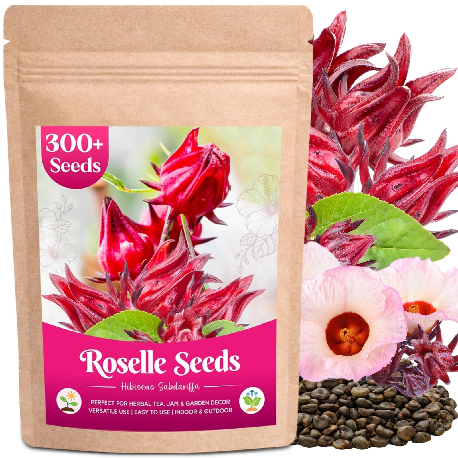 300+ Roselle Seeds for Planting – Hibiscus Sabdariffa for Tea, Jam & Garden