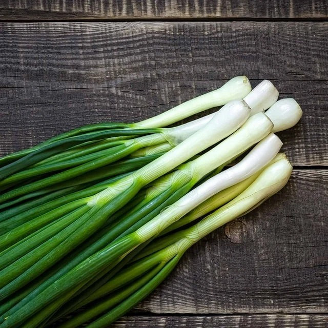250+ Onion Seeds – Bunching — Tokyo Long White