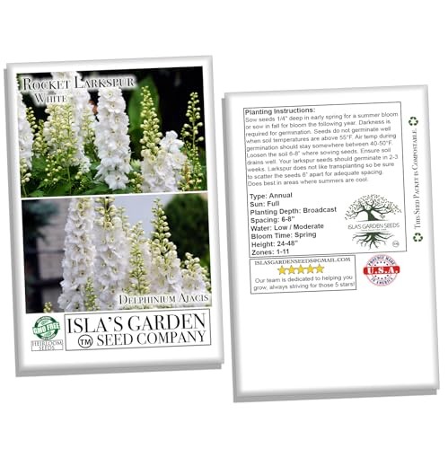 White Larkspur Rocket Flower Seeds for Planting, 250+ Seeds Per Packet, (),
