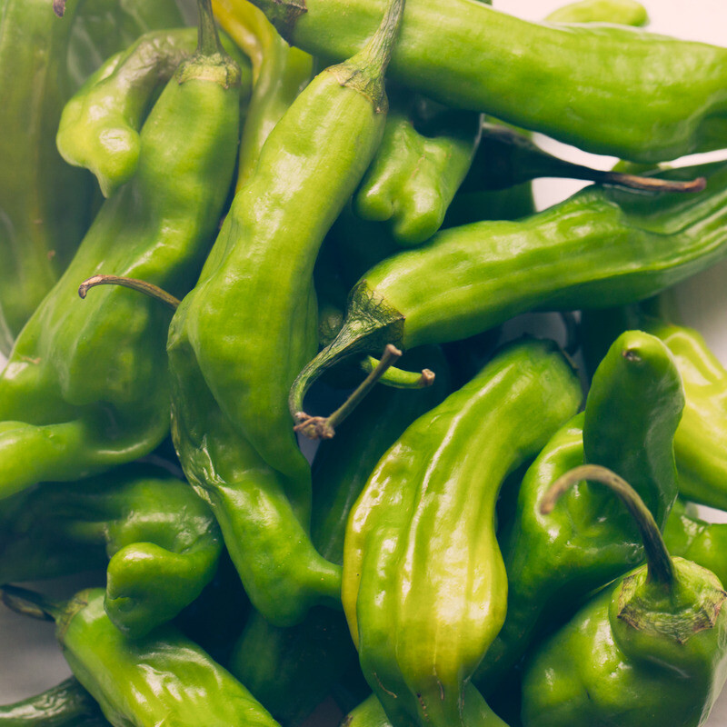 Shishito Pepper Seeds | Heirloom / Non-GMO | Free Shipping | 1014