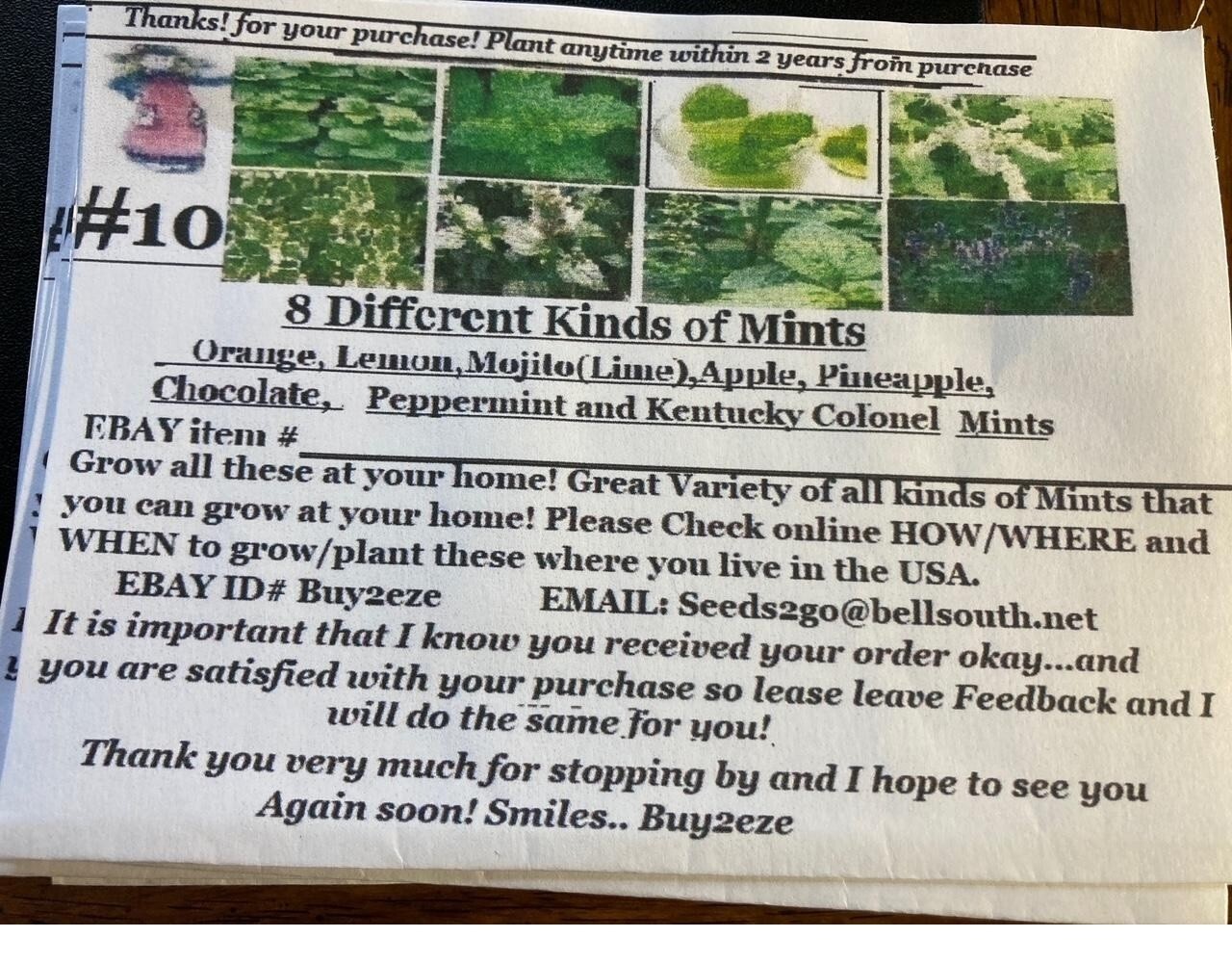 8 Seed Mints: Mojito/Pine/Choc/Pepperm/Lemon Mint/KentuckColonl/Apple/Orange #10