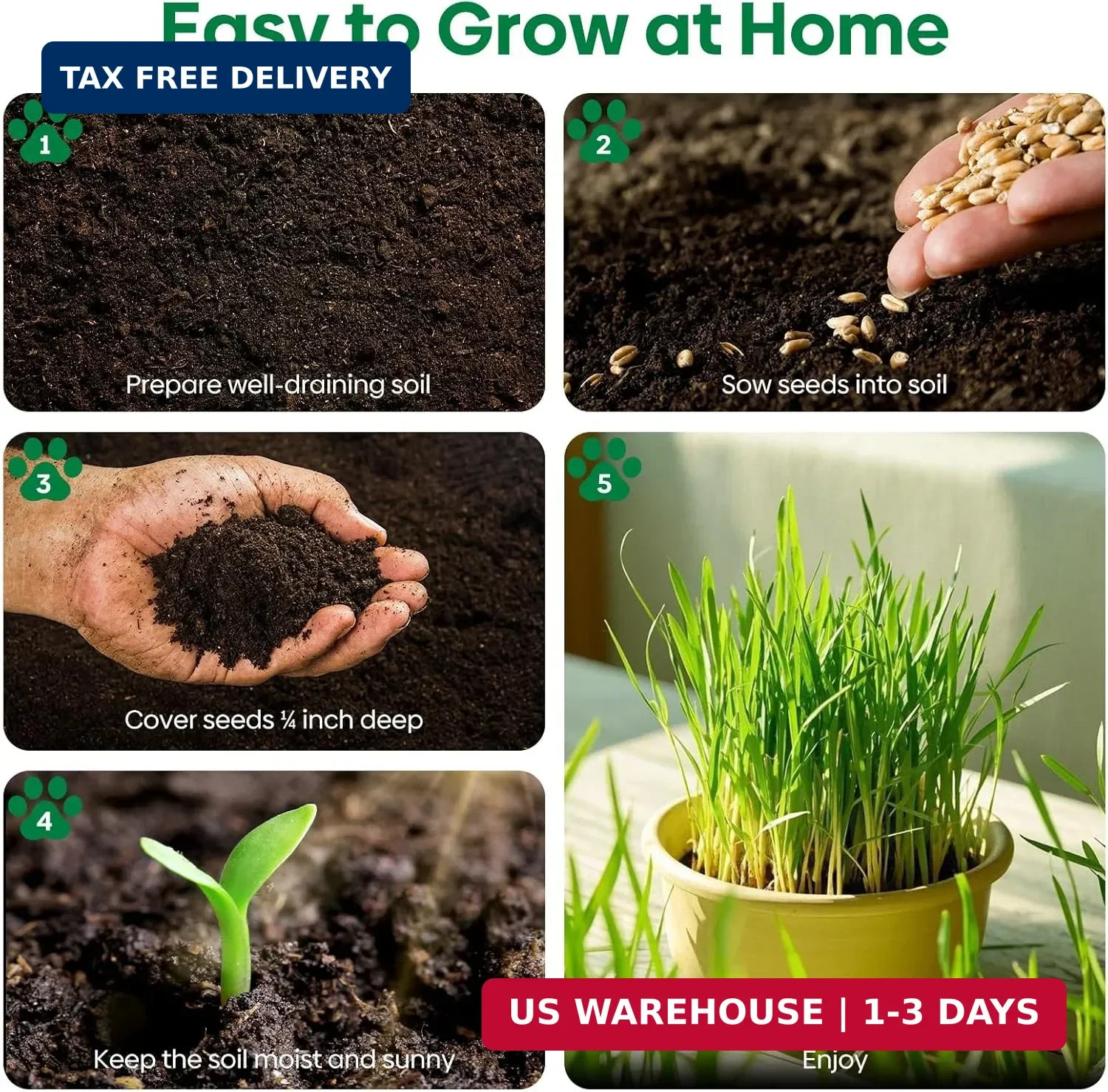 Groundio Cat Grass Seeds 4 OZ | Wheat & Oat Seeds Mix