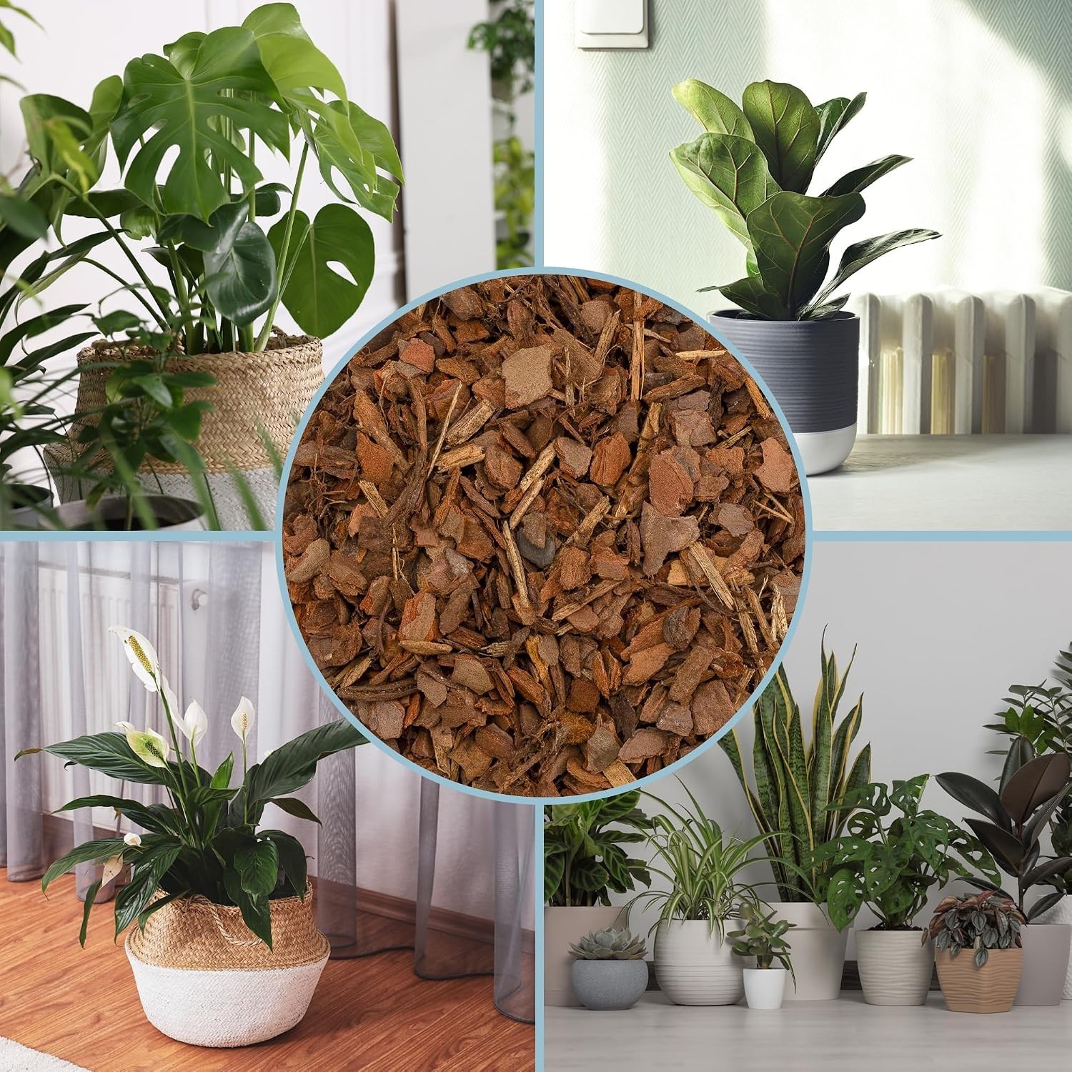 All-Natural Pine Bark Mulch for Soil Supplement and Houseplant Decor 8 Quarts