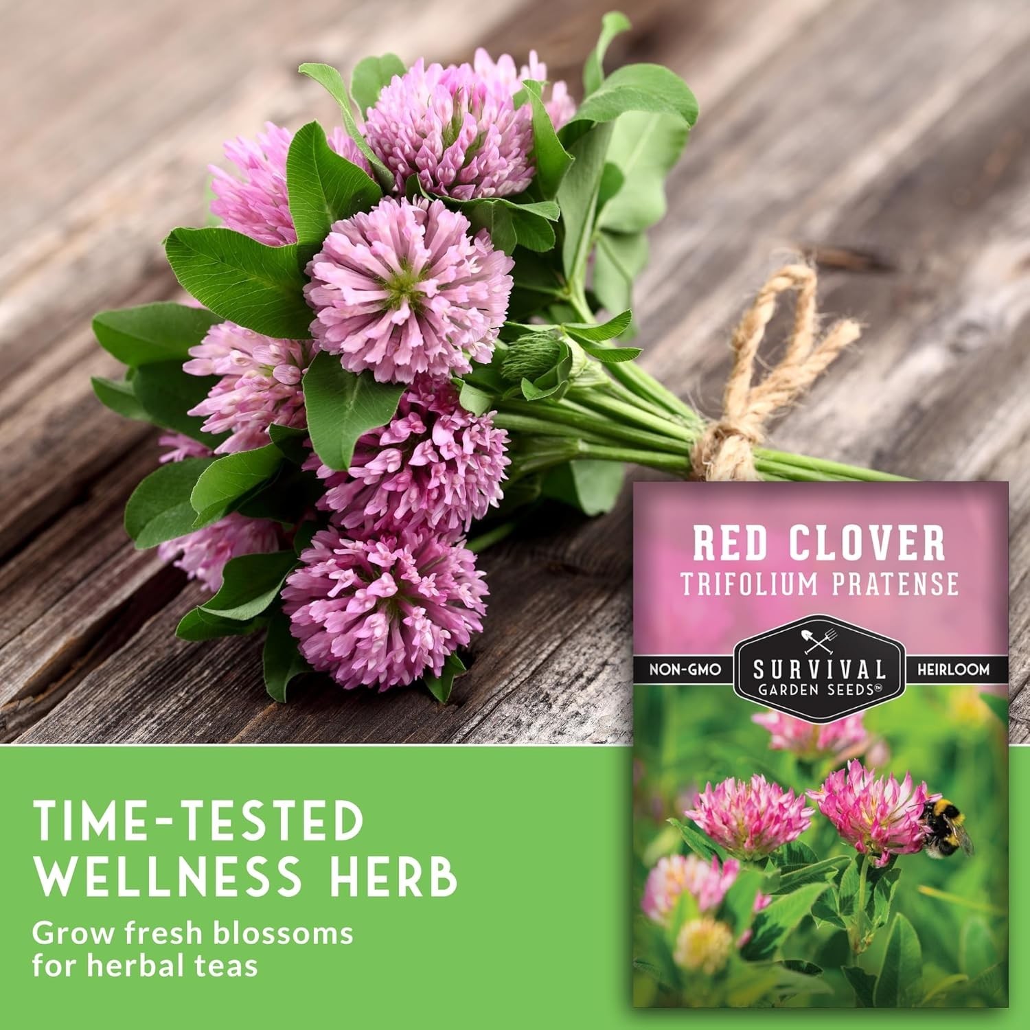 Fast-Germinating Red Clover Seeds for Spring Fall Planting