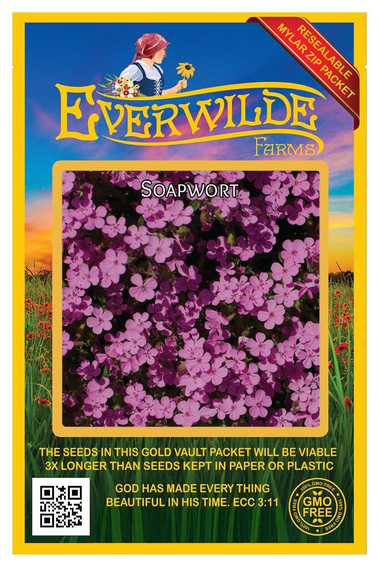 1000 Soapwort Wildflower Seeds – Everwilde Farms Mylar Seed Packet