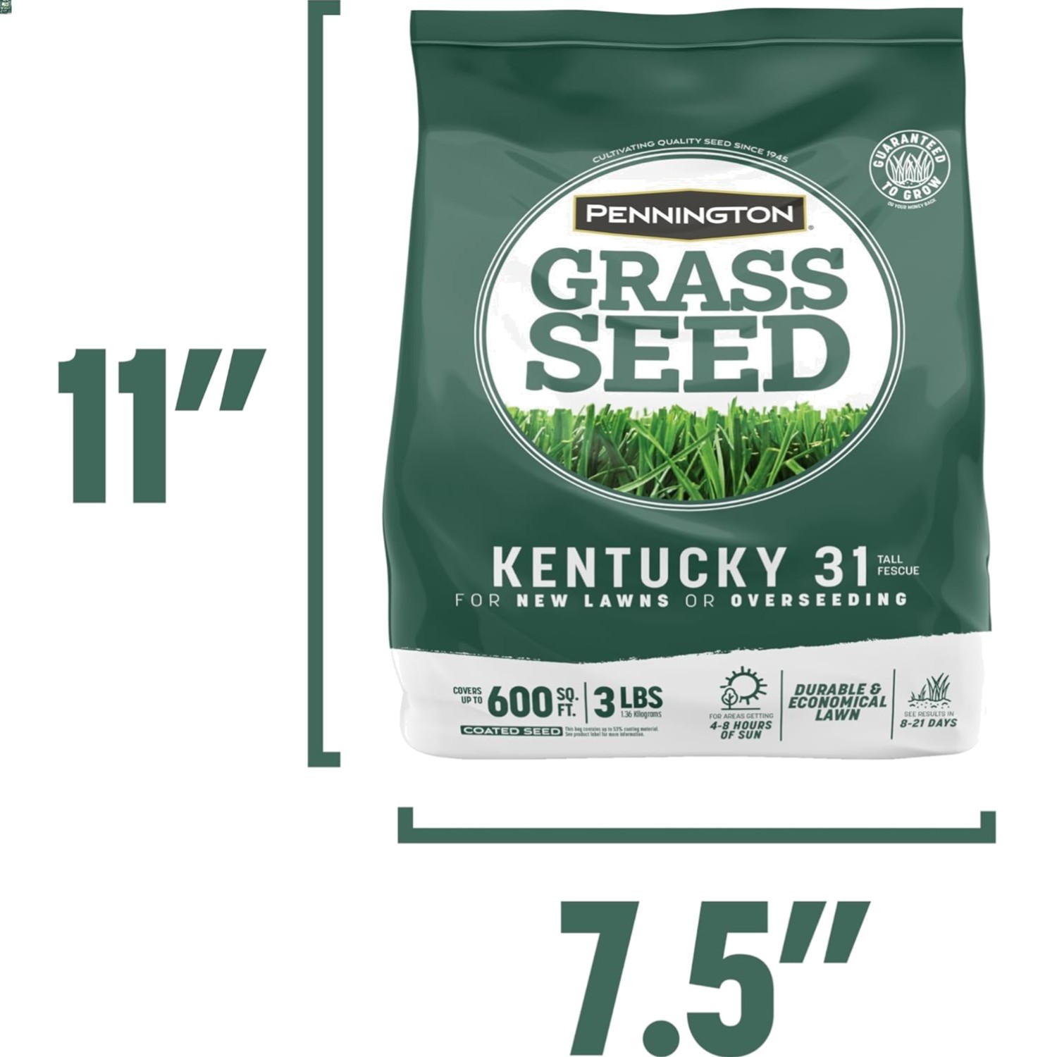 3 lb Kentucky 31 Fescue Grass Seed – Covers 600 sq. ft. for Your Outdoors