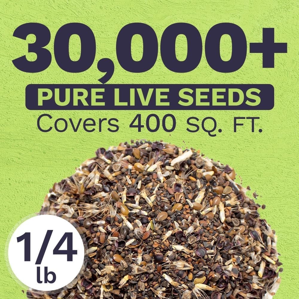 California Wildflower Mix – 1/4 lb Bag
