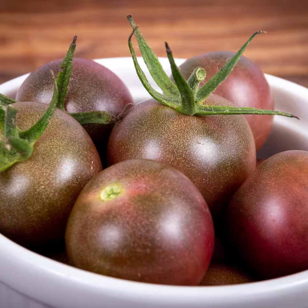 19.3 Oz. Black Cherry Tomato Plant, (2-Pack)