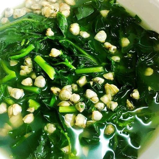 32+PCS GREEN MALABAR SPINACH SEEDS, MỒNG TƠI XANH, 爬藤木耳菜
