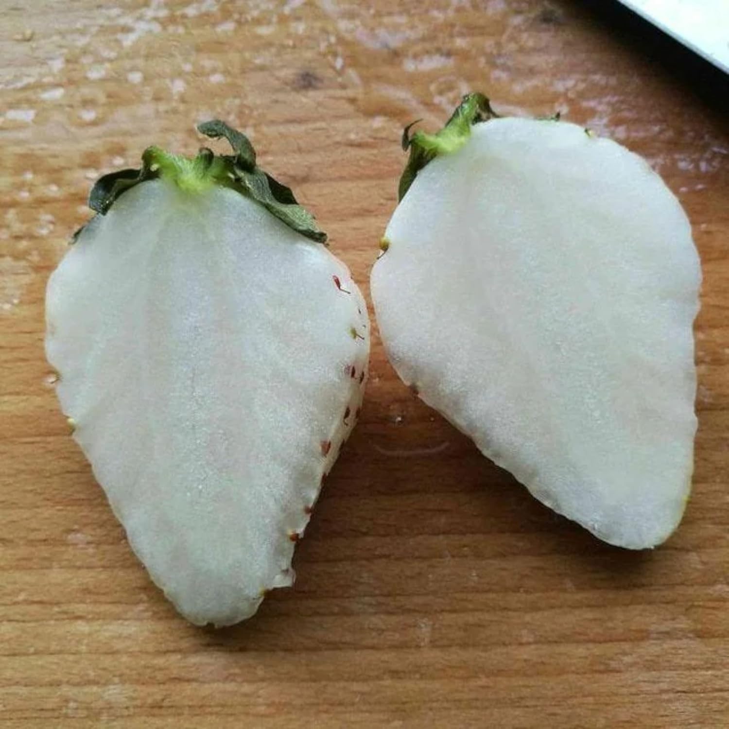 Perennial White Strawberry Seeds – 200 Non-GMO, Thrives in Varied Climates