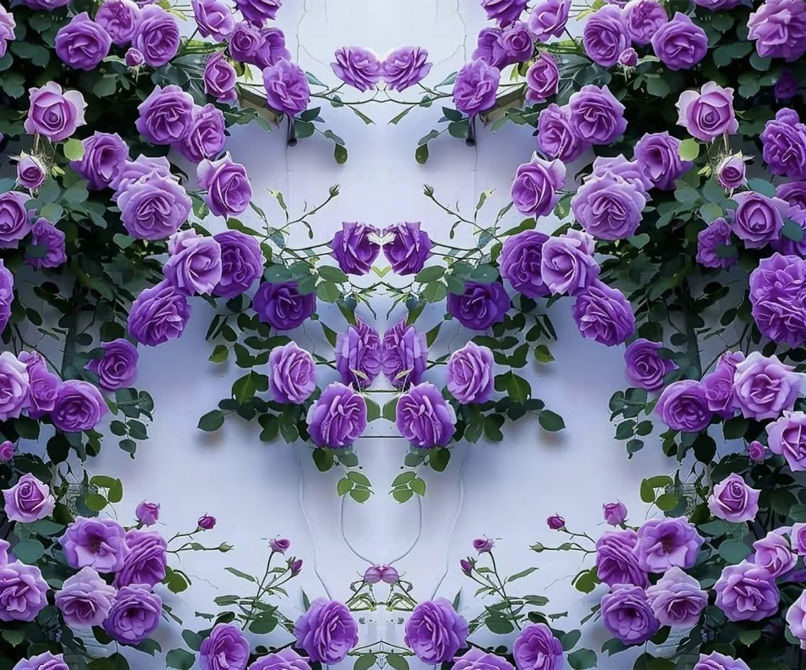 Purple Climbing Rose Rosa Seeds Bush Vine Climber Fragrant Butterfly Rare Non…
