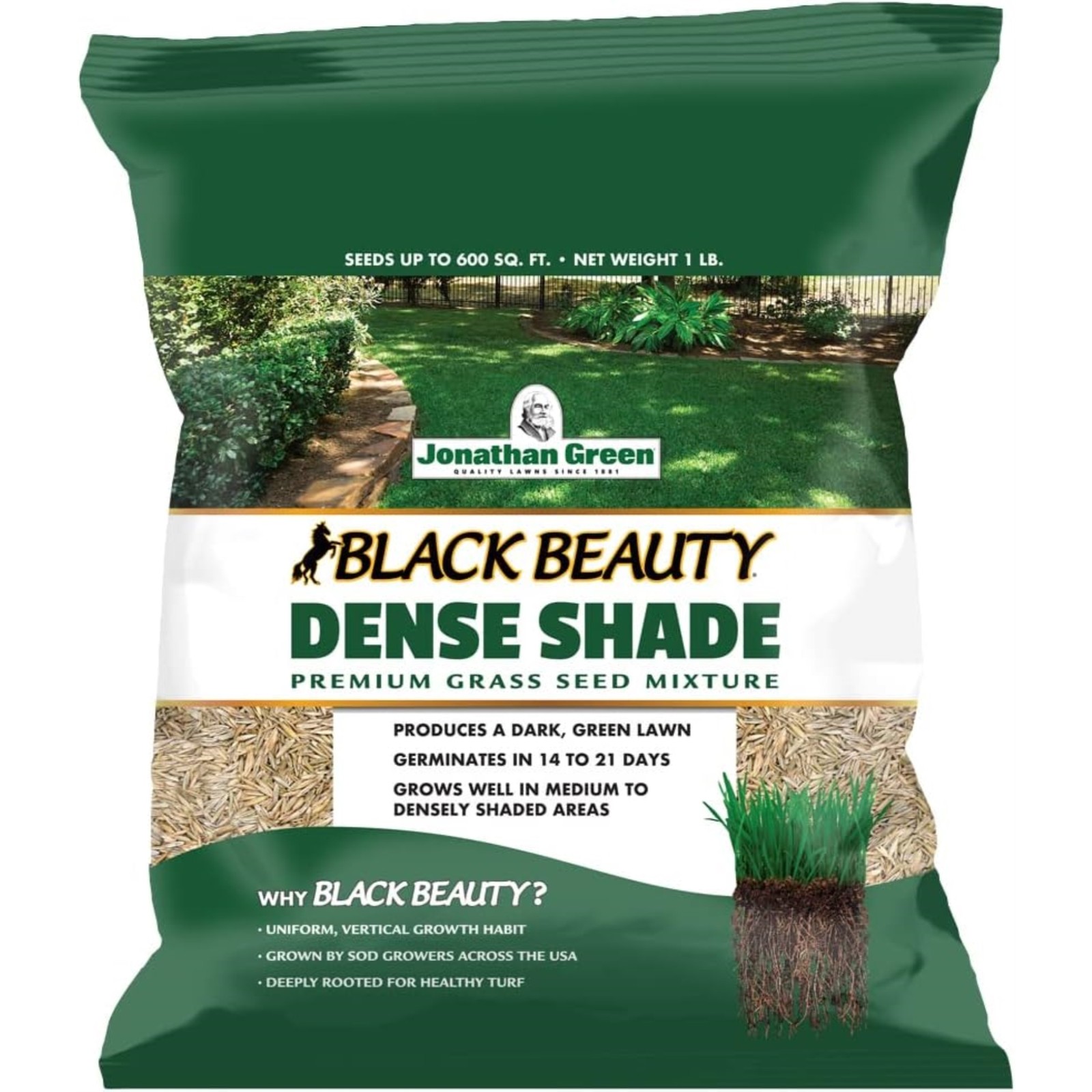 Jonathan Green Black Beauty Dense Shade Grass Seed Mix, 1 lb (Pack of 2)