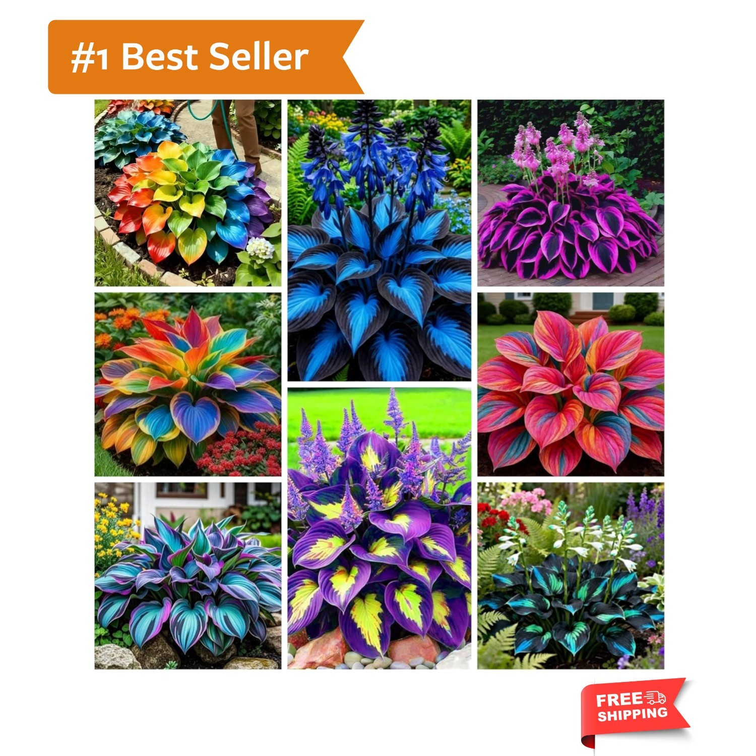 Heirloom Hosta Plants Seeds – 290+ Rich Foliage, Heart-Shaped Leaves, Low Care