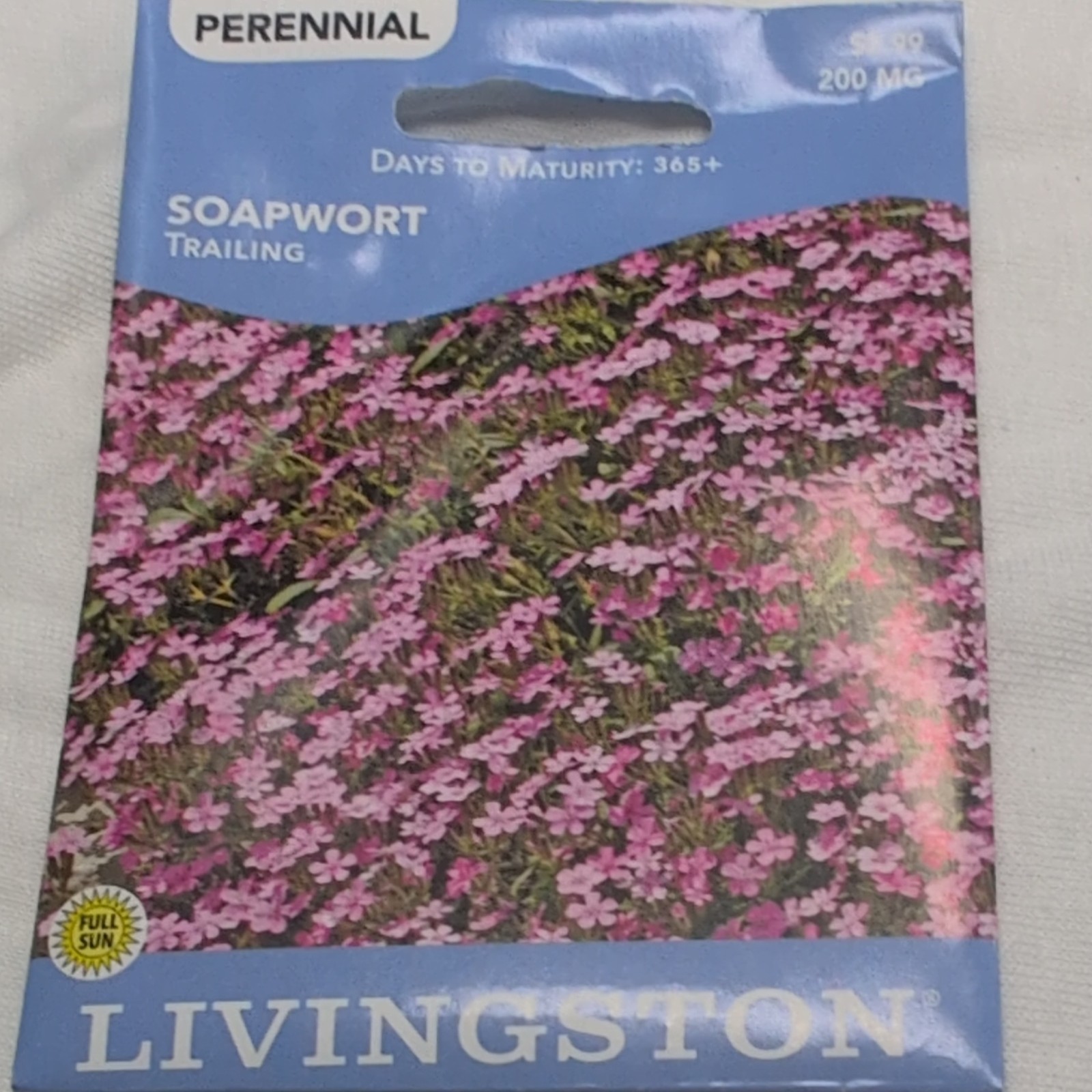 Livingston Soapwort Trailing Perennial Pink Full Sun Spring Summer Y3210
