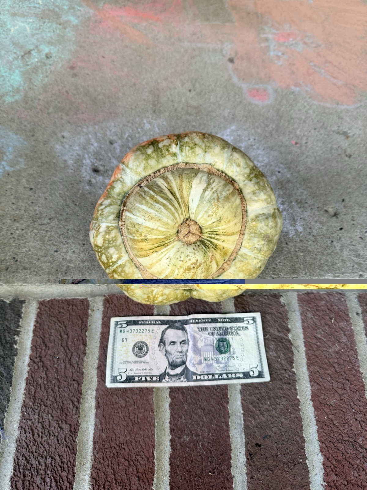 Seeds #13: orange/green/cream acorn/turk’s turban gourd. 10 ct