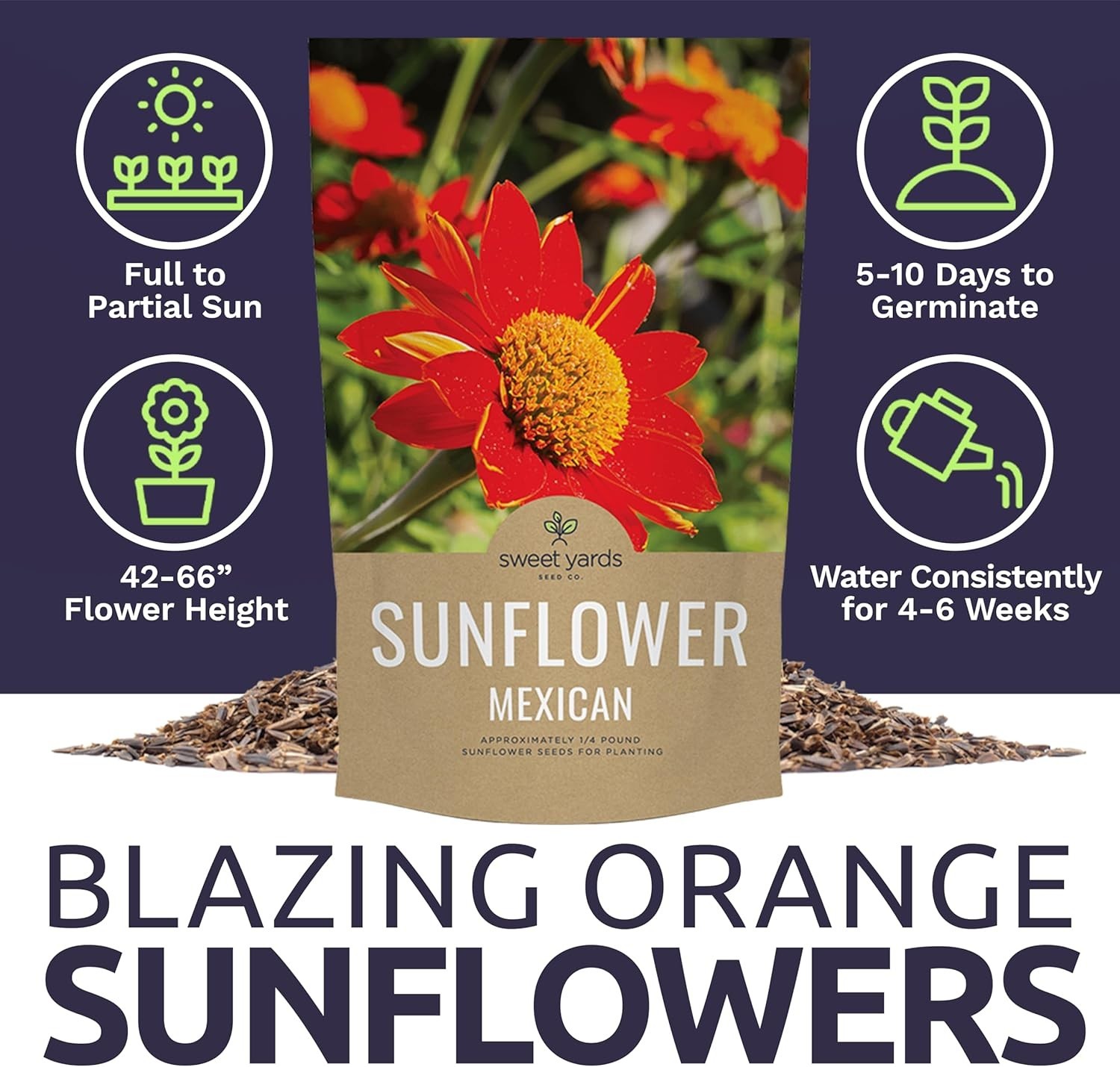 Bulk Mexican Sunflower Seeds 10,000+ Open Pollinated Non-GMO Tithonia rotundi…