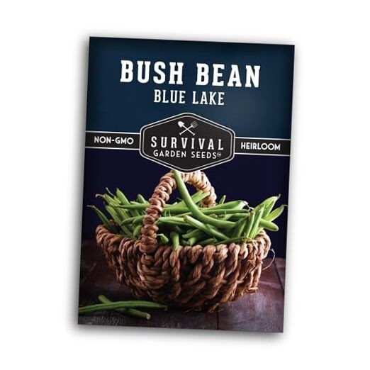 Blue Lake 274 Bush Bean Seeds for Planting – Heirloom Non-GMO Green Beans – 1