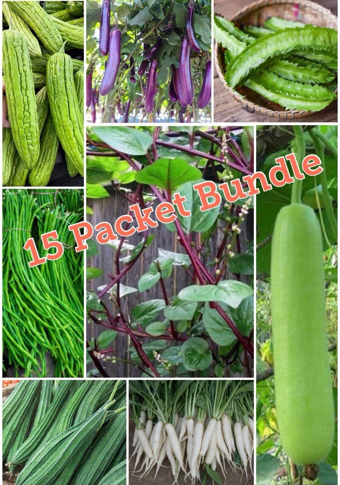 15 Packets of Asian – Filipino Vegetable SEEDS for Planting