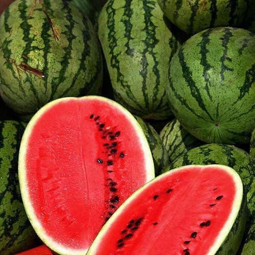 Watermelon Seeds, Citrullus Lanatus, All Sweet, NON-GMO, Heirloom, Variety Sizes