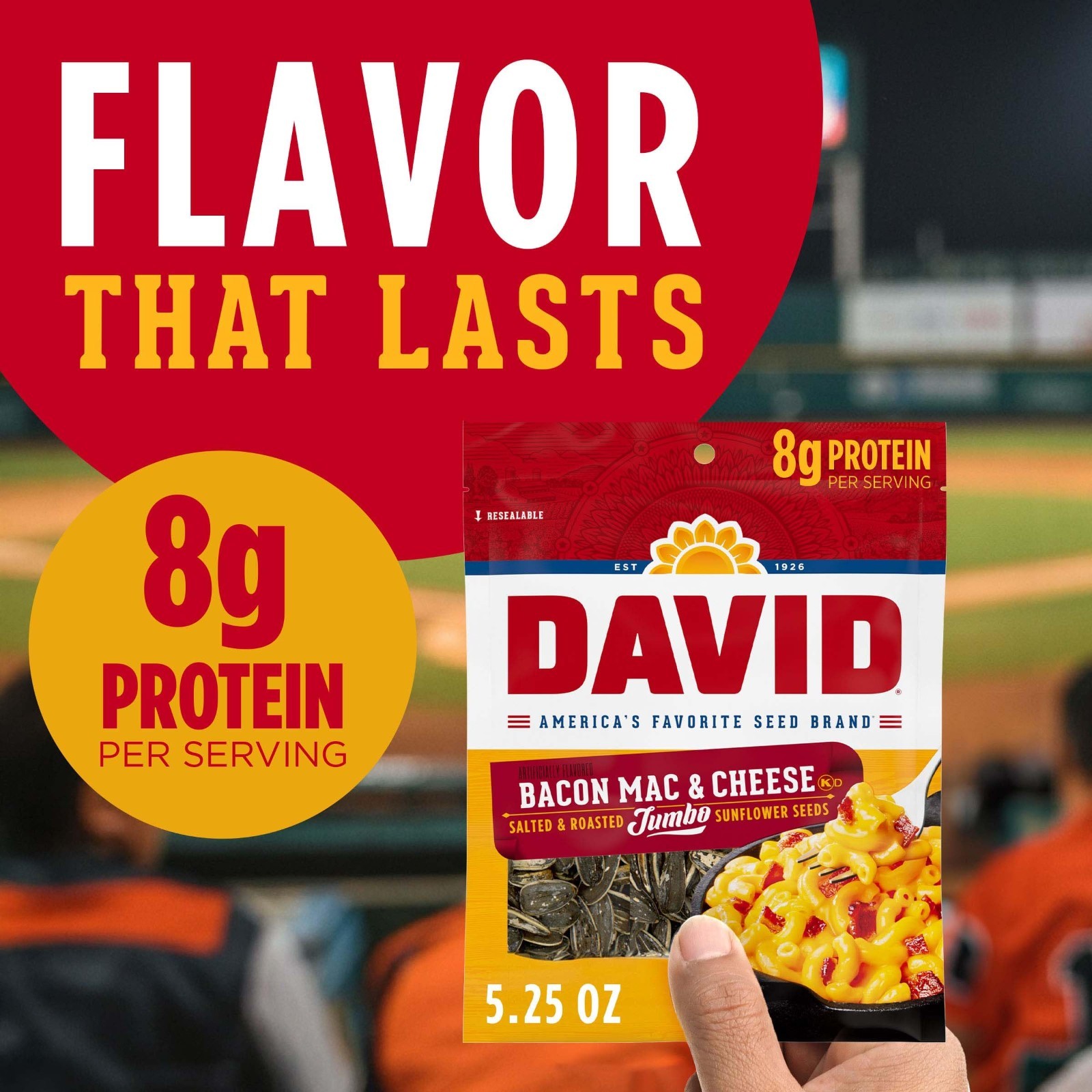Jumbo Bacon Mac & Cheese Sunflower Seeds – 5.25 oz, Pack of 12 Snacks