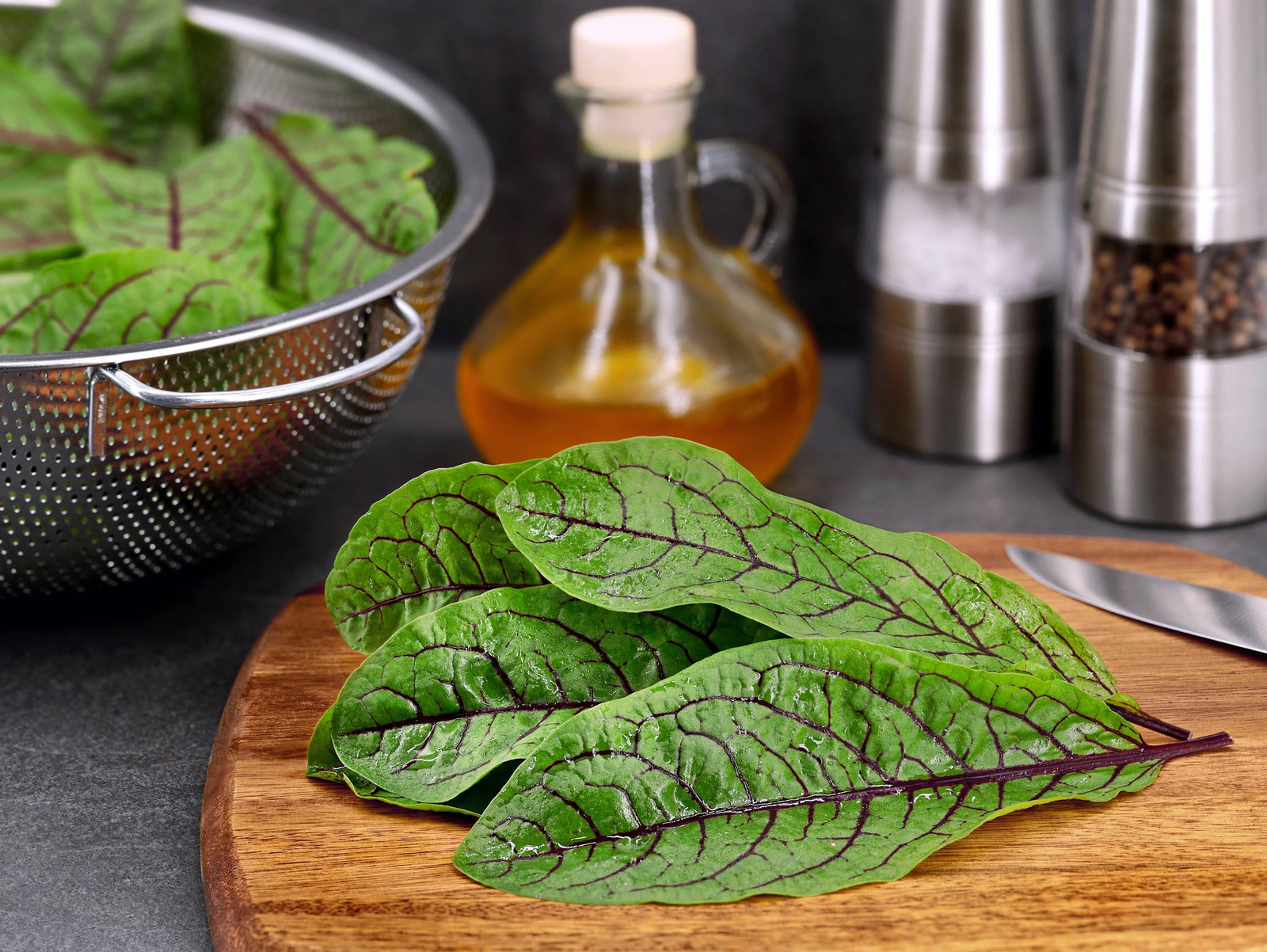 Red Veined Sorrel Seeds, Colorful Salad Greens, Fast Shipping, Tracking Included