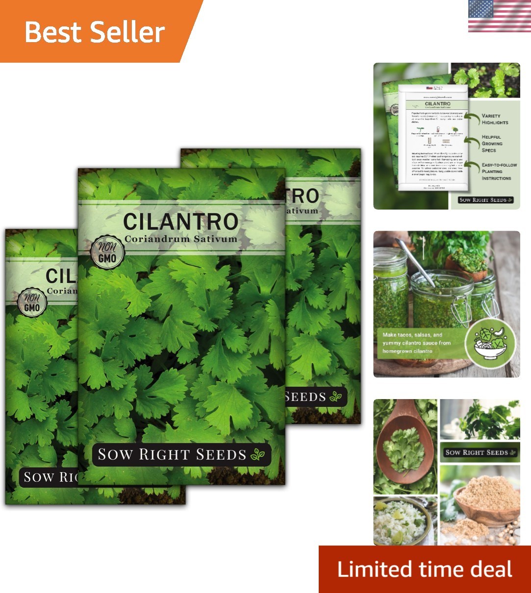 Kitchen Herb Garden Starter – Non-GMO Cilantro Seeds Perfect for Indoor/Outdoor