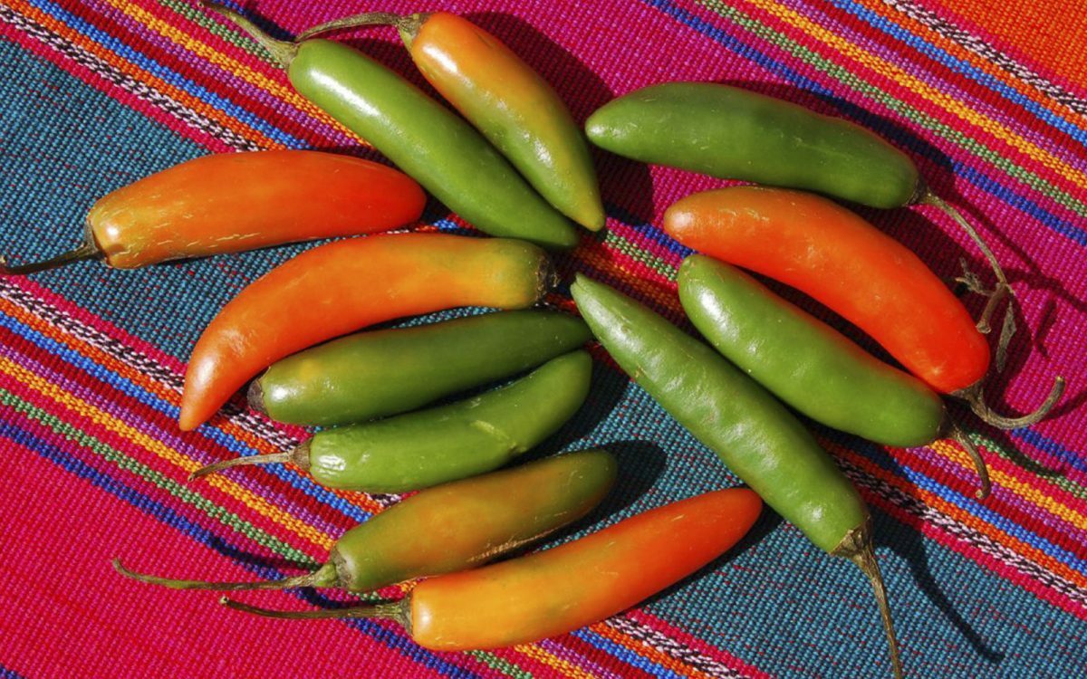 Multi hot pepper seed-pak 6 EZ varieties non-gmo heirloom BIG FLAVOR!!