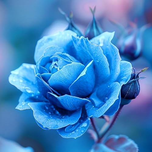 Mix Climbing Rose Seeds for Planting, 30+pcs Beauty Rare Rose Flower Seeds,