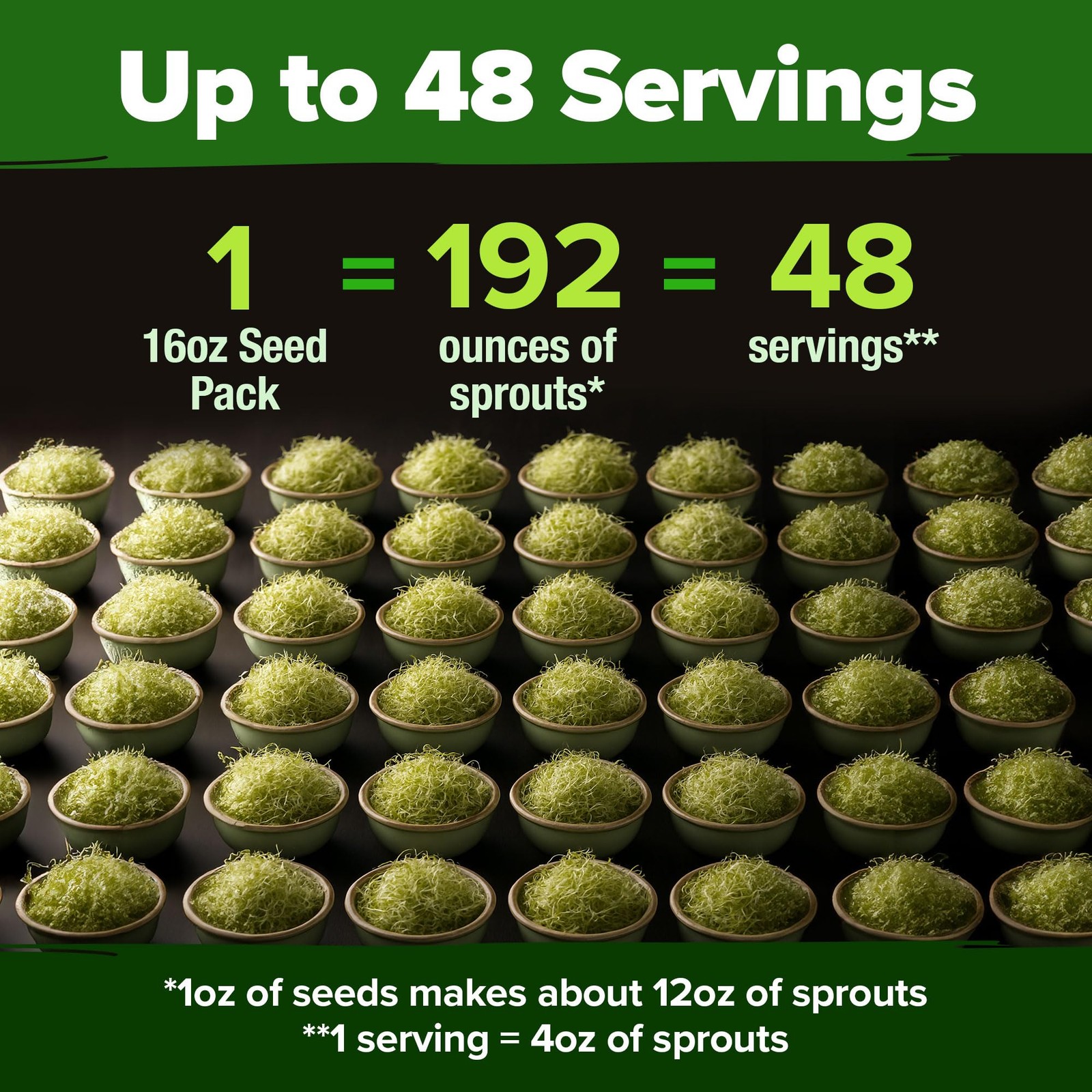 Alfalfa Sprout Seeds 16oz Bulk Pack for Indoor Outdoor Microgreens Growing