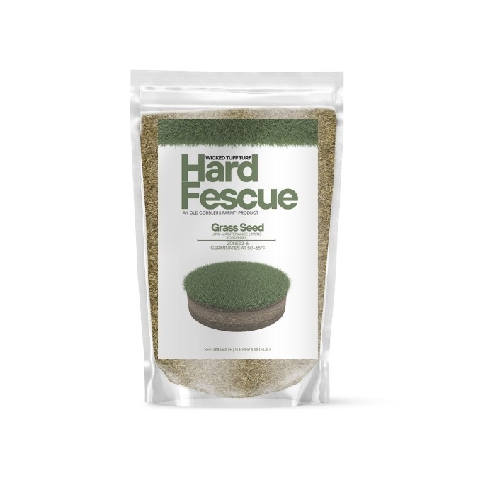 Old Cobblers Farm™ Wicked Tuff Turf Hard Fescue Grass Seed – Drought Resistant