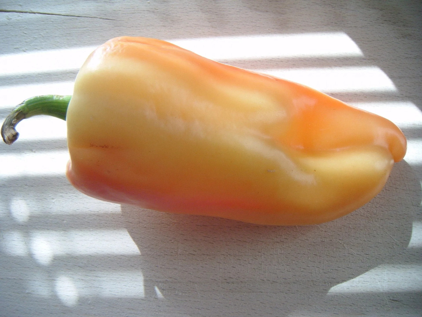 25 Organic GIANT SZEGEDI PEPPER Capsicum Hungarian Sweet Paprika Bell Seeds