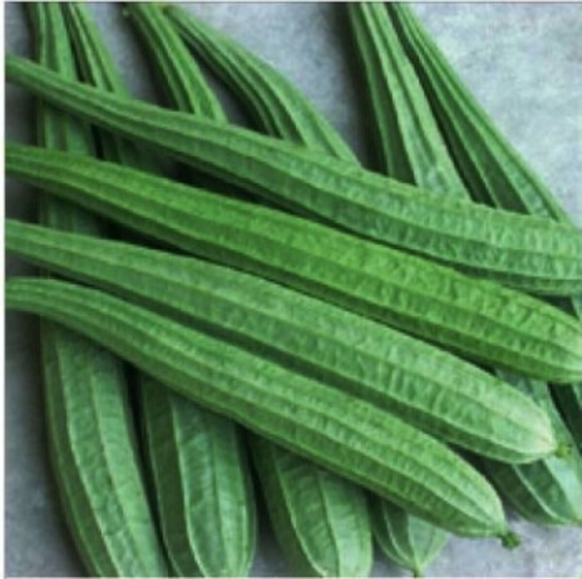 Ridged gourd | 10 seeds | Chinese Okra | Angled Luffa Gourd | Sigua | Sponge