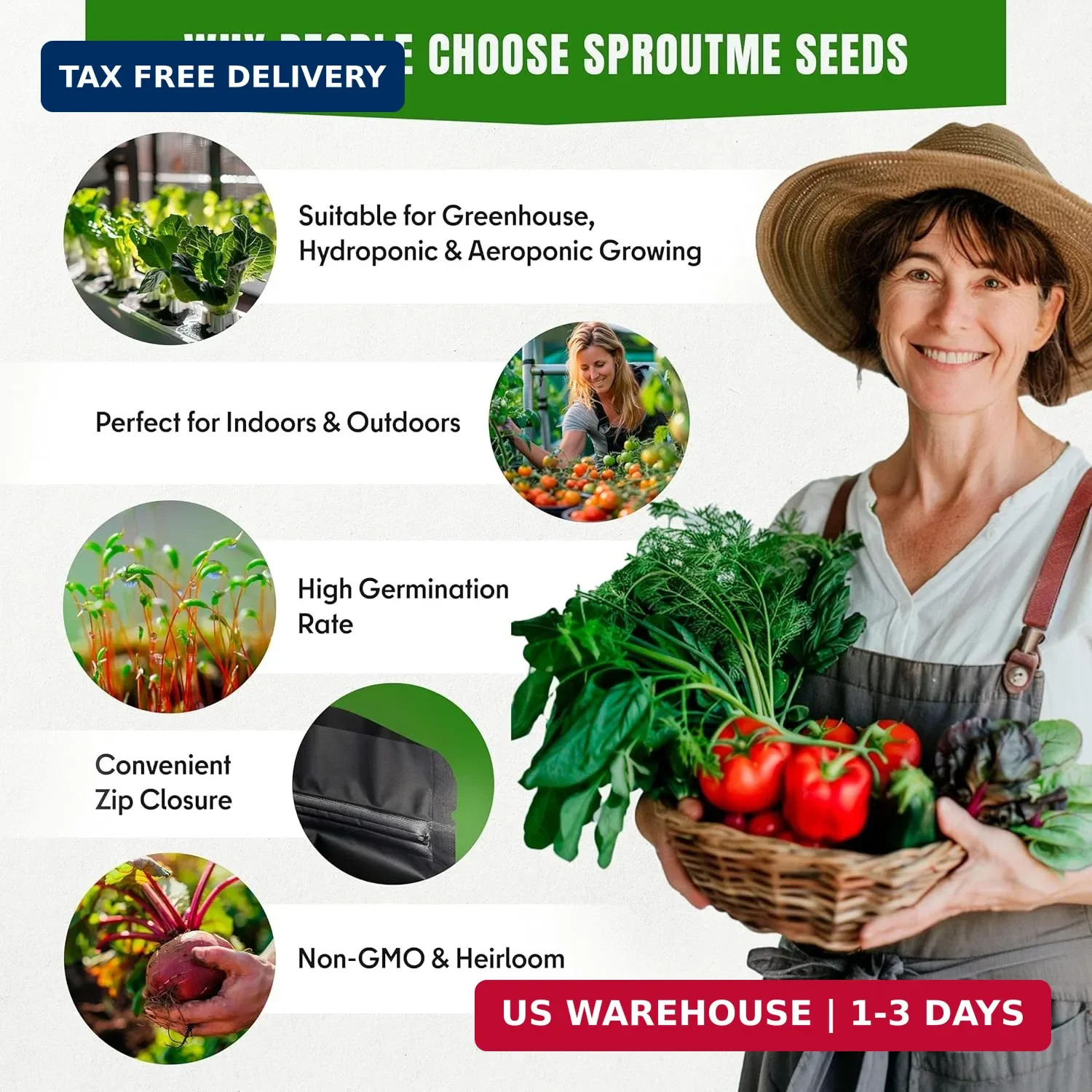 Vegetable Seeds Variety Pack – Tomato, Cucumber, Zucchini, Lettuce, Broccoli & C