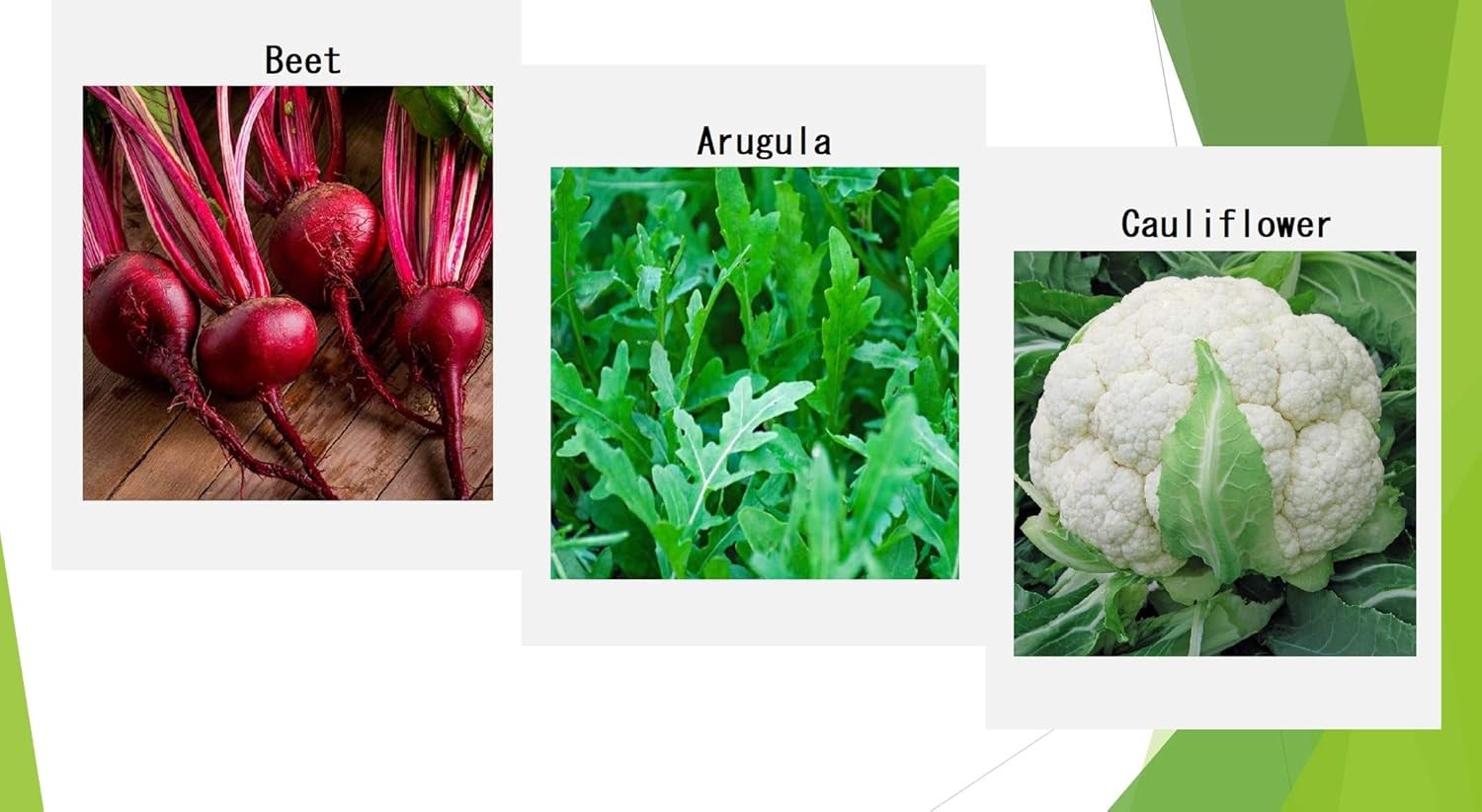 Premium Winter Vegetable Seeds for Planting Organic Non-GMO Heirloom Seeds 12 Va