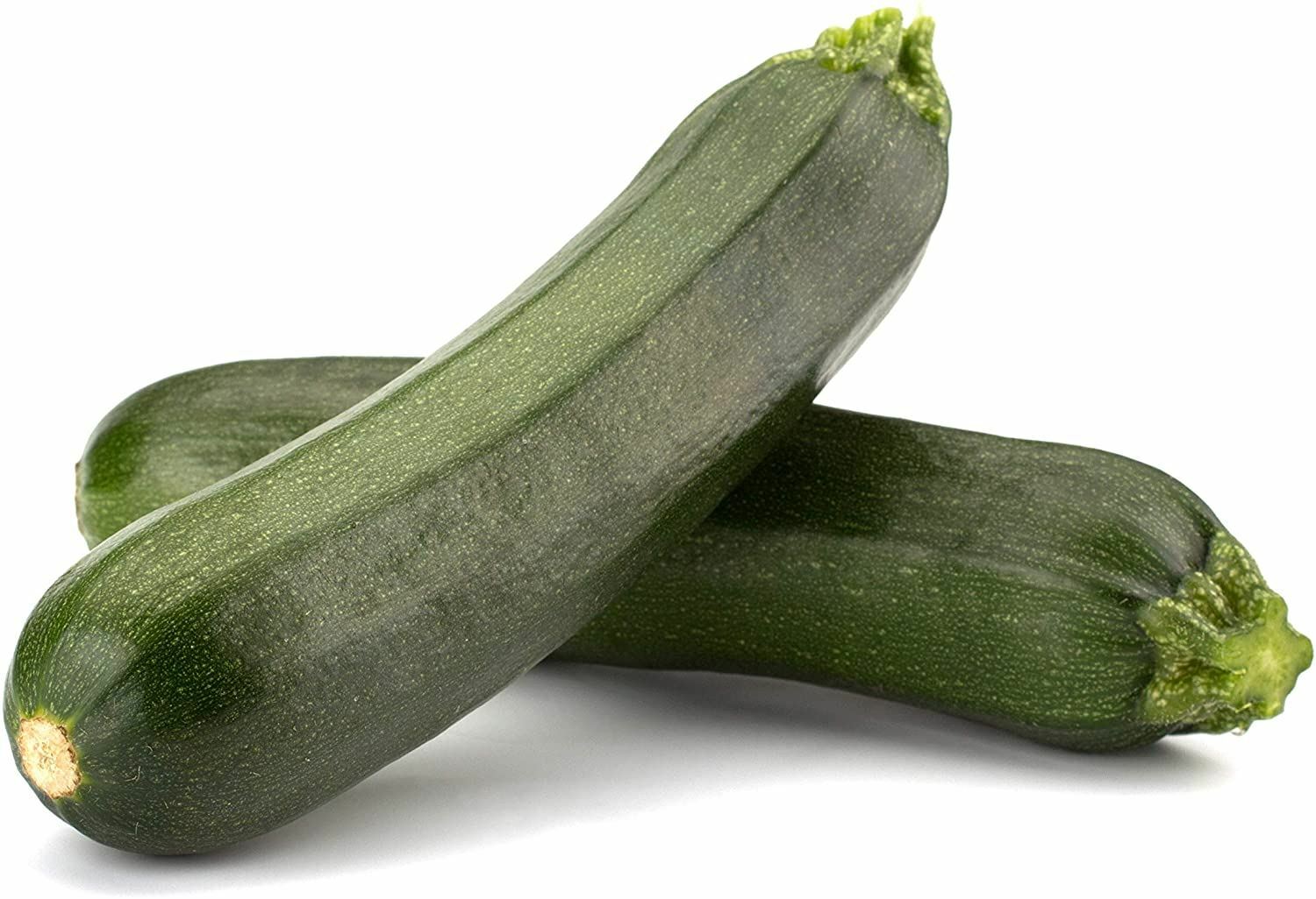 Zucchini Seeds, Dark Green Zucchini Squash Seeds,”COOL BEANS N SPROUTS” Brand.