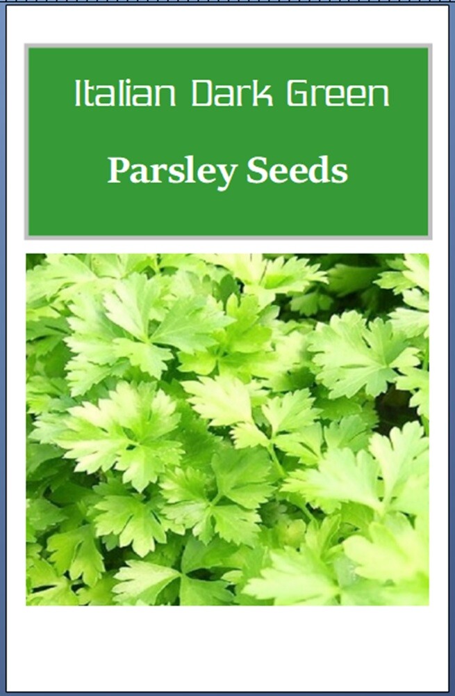 Italian Parsley Green Flat Leaf Seeds | NON-GMO | Heirloom | Fresh Garden Seeds