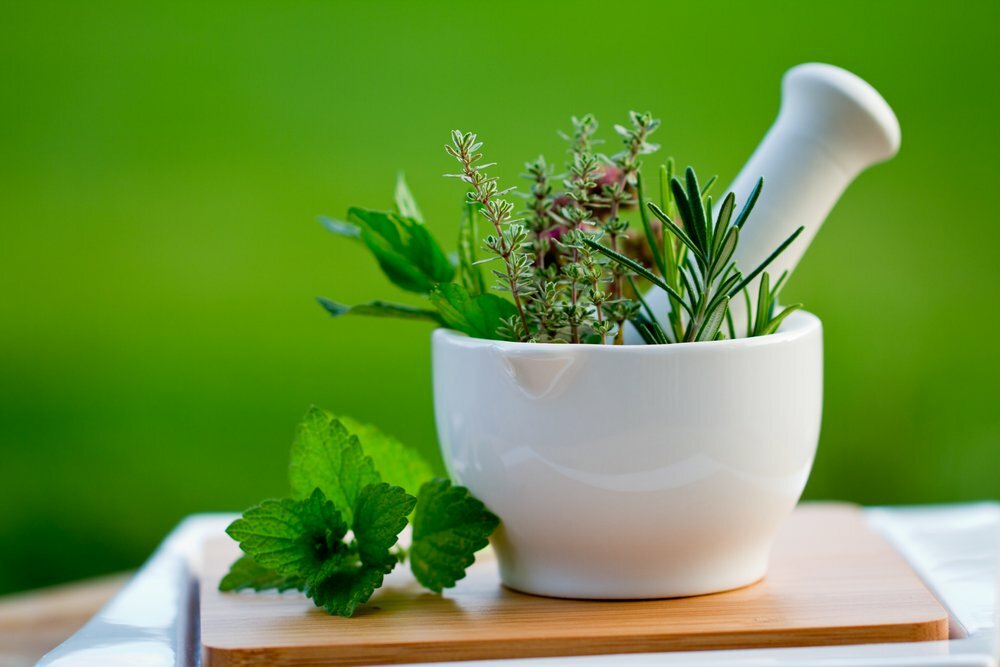 SUMMER SAVORY 300+ SEEDS ORGANIC CULINARY HERB (Satureja Hortensis)