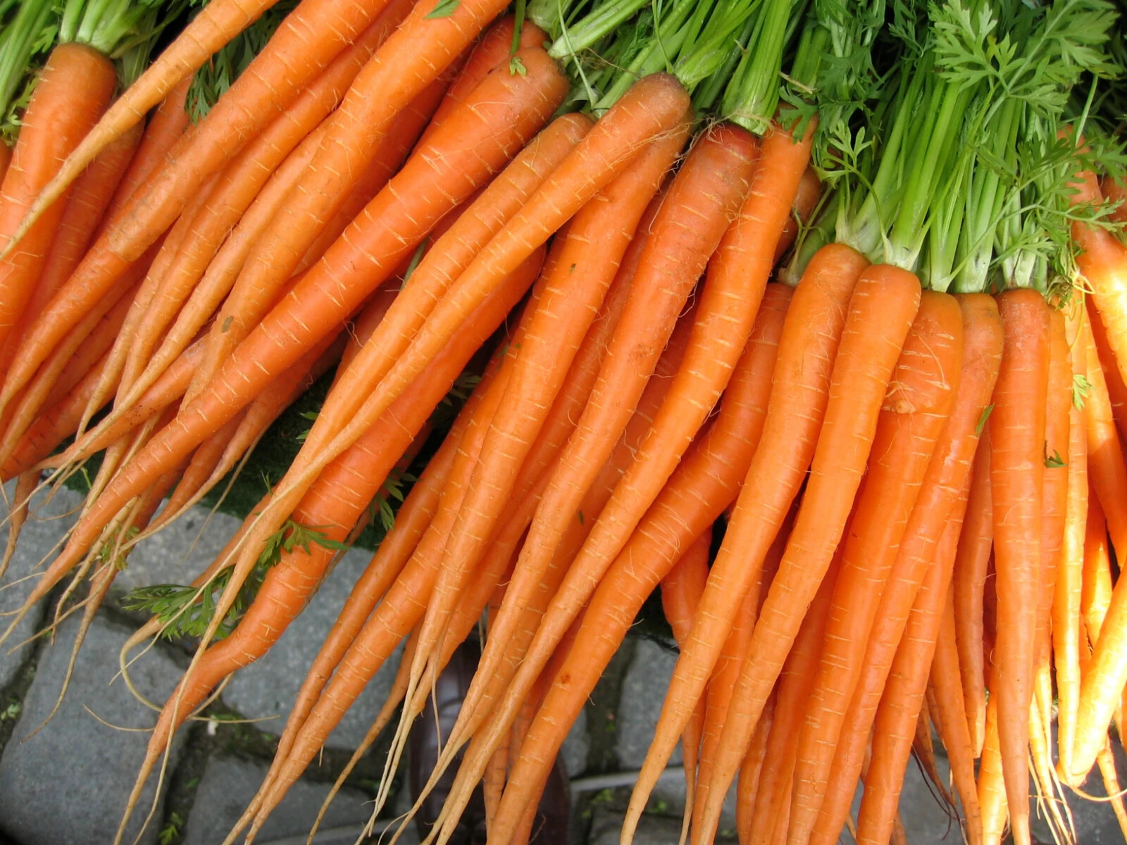 300 TENDER SWEET CARROT SEEDS ~ heirloomseedguy ~ 2026 ~ NON-GMO