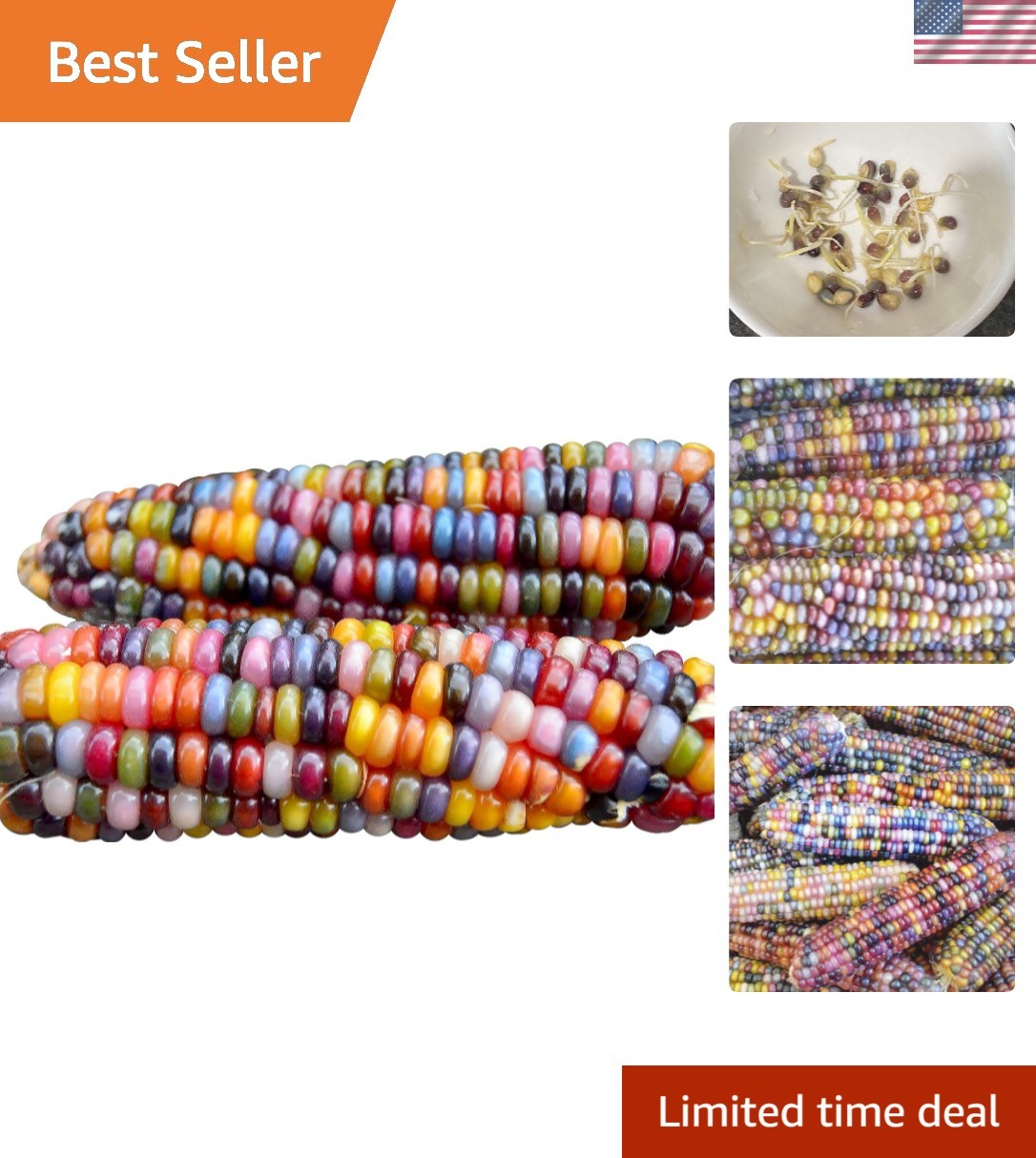 Vibrant 100 Glass Gem Corn Seeds – Gourmet Non-GMO Popcorn with Colorful Kernels