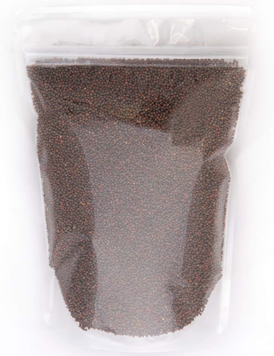 1 LB Heirloom Broccoli Sprouting Seeds: Non-GMO Waltham 29 for -Round Growth