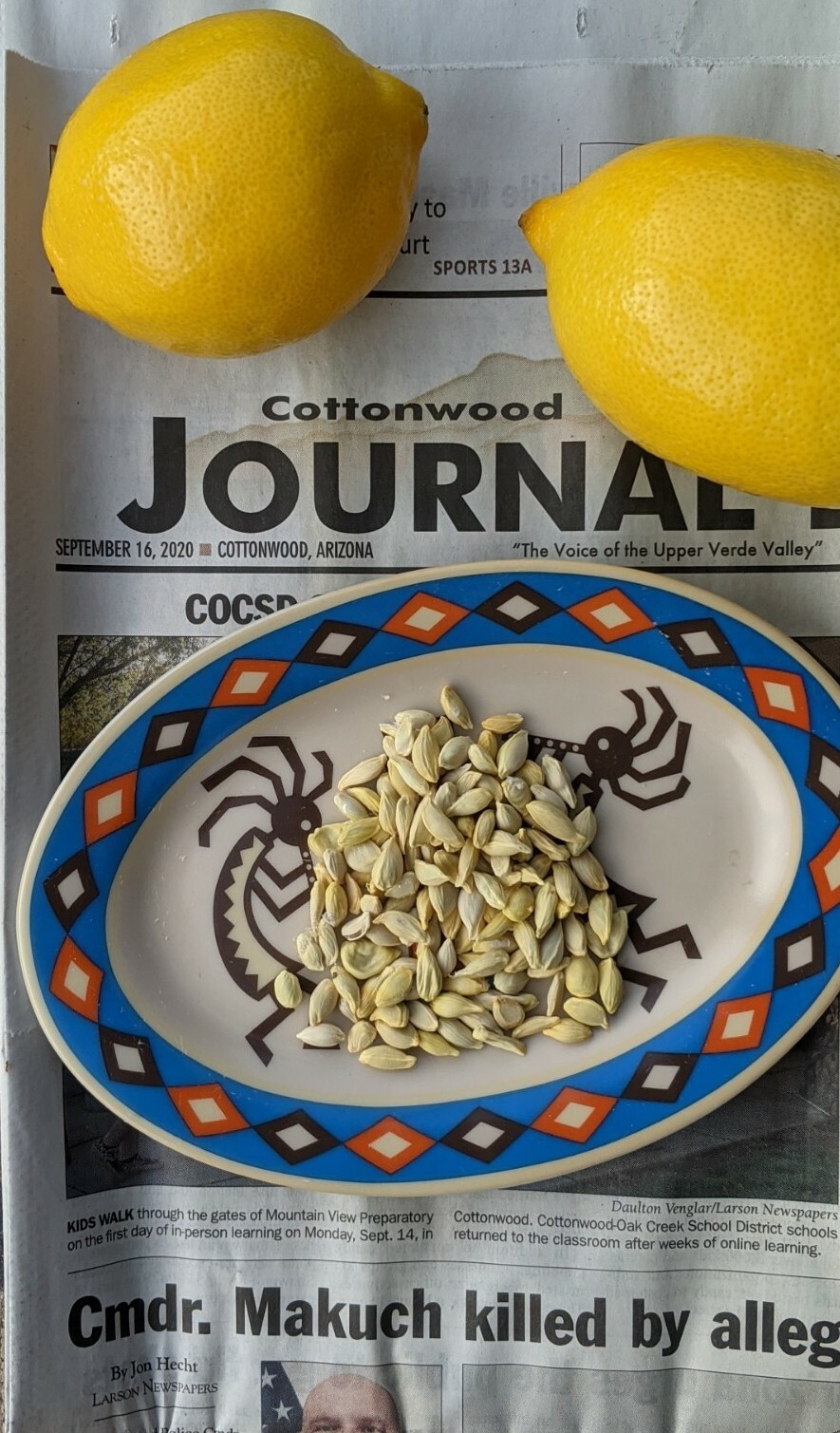 Lemon Seeds – 20 Fresh 🍋 Seeds Proudly Made In/From Arizona Meyer Lemon Non GMO