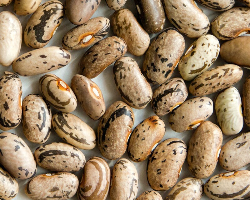 Beans, Heirloom Rattle Snake Pole , 1/2 Pound Non-Gmo, Organic Amish Seeds.