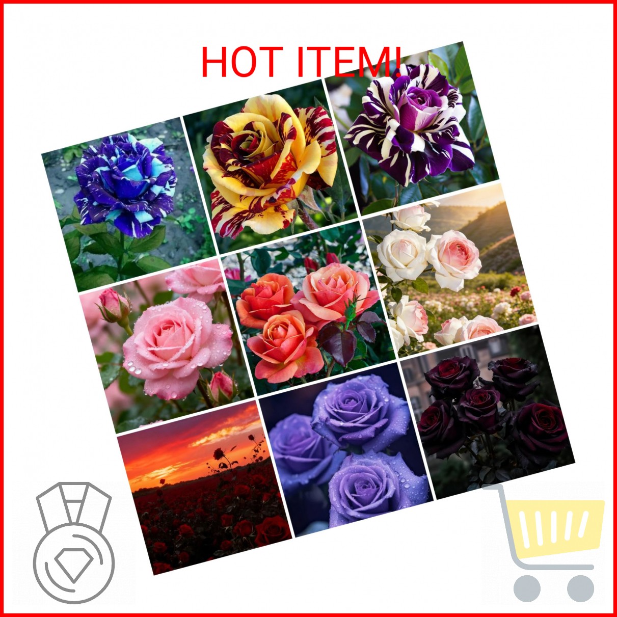 Mixrug 300+ Mixed Climbing Rose Seeds for Planting Outdoors-Hybrid Rare Rose Flo